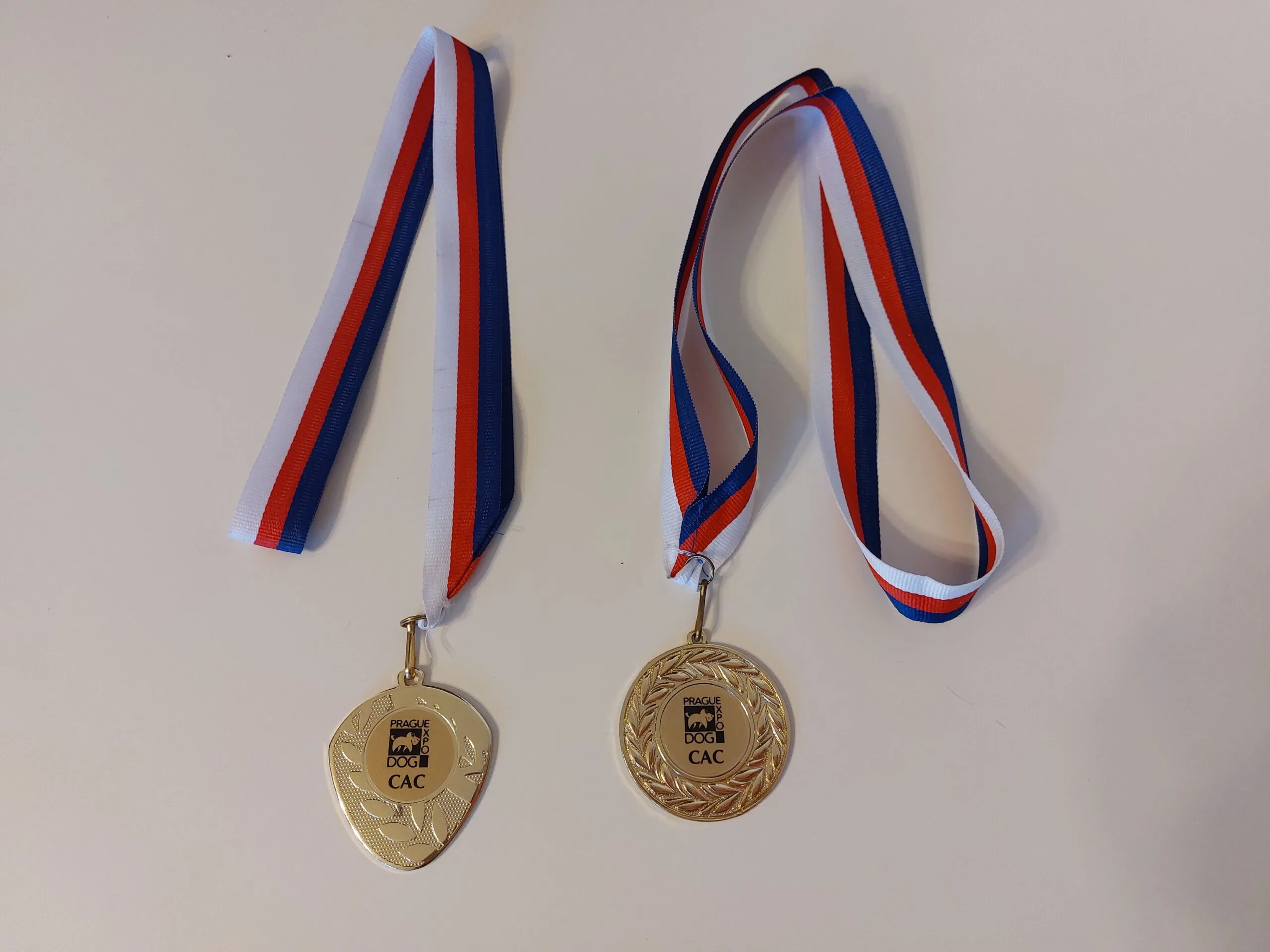 Mezinárodní výstava v Praze – fotka 3
