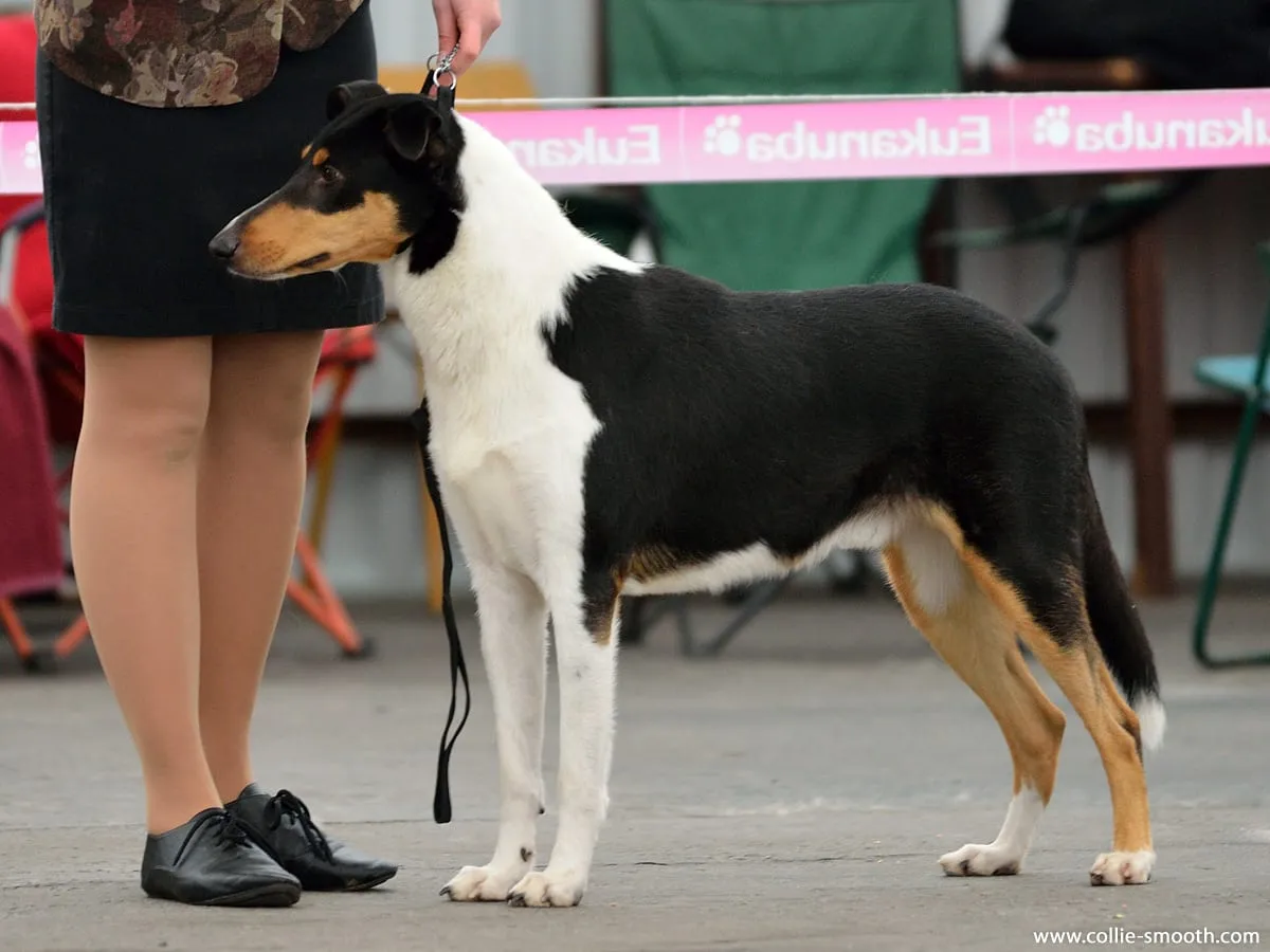 Derby